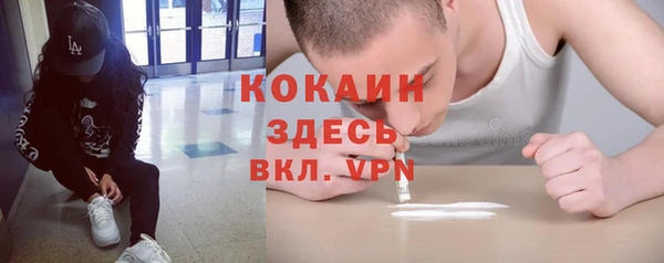шишки Бородино