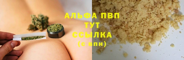 ешки Богданович