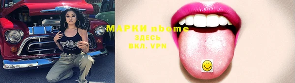 шишки Бородино