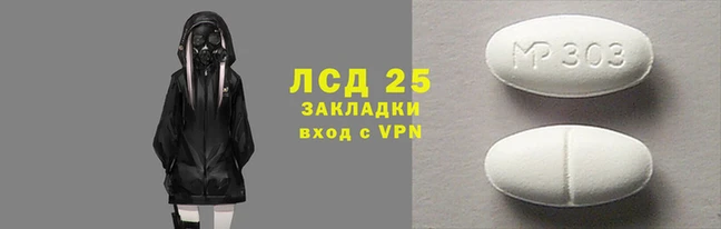 шишки Бородино