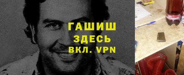 шишки Бородино