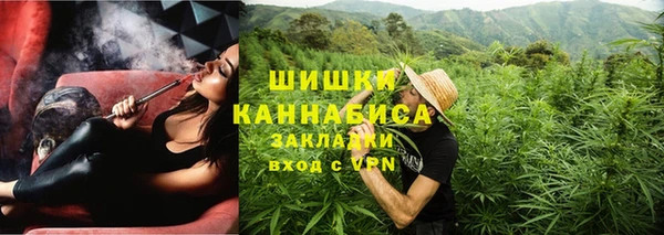 шишки Бородино