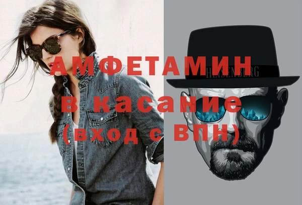 шишки Бородино