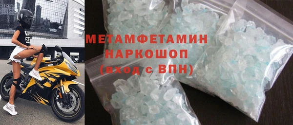 гидра Богородицк