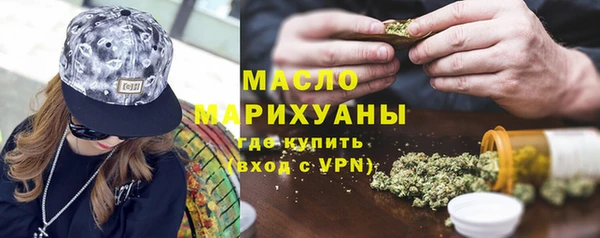 гидра Богородицк