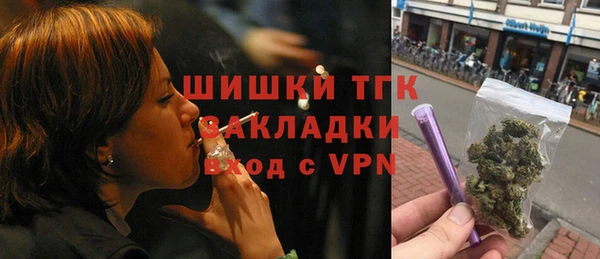 шишки Бородино