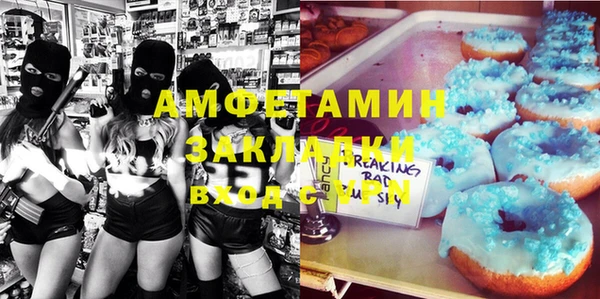 шишки Бородино