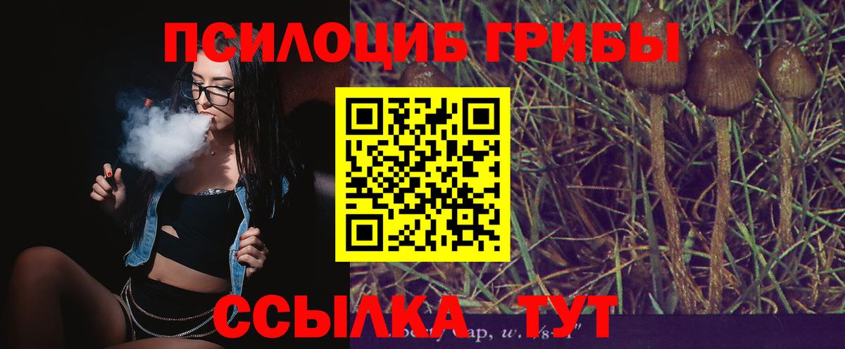 как найти закладки  Вход с VPN  Псилоцибиновые грибы Psilocybe  Бугульма  Галлюциногенные грибы мухоморы 