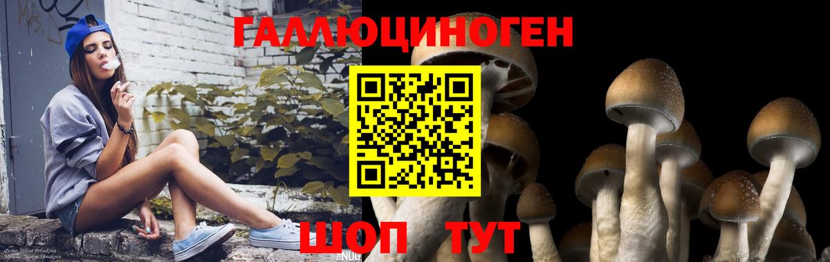 Псилоцибиновые грибы GOLDEN TEACHER Бугульма